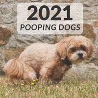 2021 Pooping Dogs