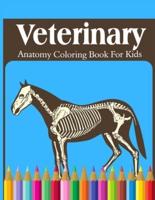 Veterinary Anatomy Coloring Book For Kids