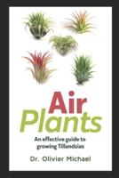 Air Plants