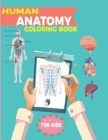 Human Anatomy Coloring Book For Kids