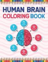Human Brain Coloring Book: The Human Brain Coloring Book. Human Brain Model Anatomy, Human Brain Diagram, Human Brain Art, Human Brain and Human Learning, Human Brain Anatomy. Neuroanatomy Coloring Book for Neuroscience Nurses Doctors & Nursing Students.