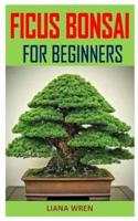 Ficus Bonsai for Beginners