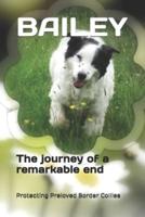 Bailey: The journey of a remarkable end