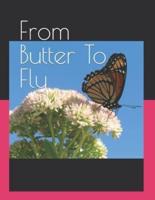 From Butter To Fly: Haiku/morals poetic anthology