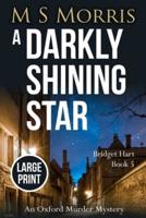 A Darkly Shining Star (Large Print Edition)