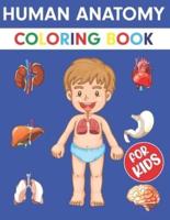 Human Anatomy Coloring Book For Kids