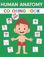 Human Anatomy Coloring Book For Kids