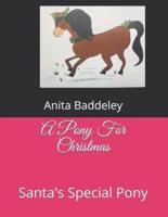 A Pony For Christmas