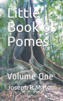 Little Book of Pomes: Volume 1.