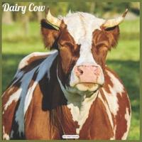 Dairy Cow 2021 Wall Calendar