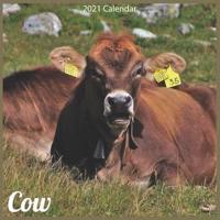 Cow 2021 Calendar