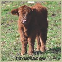 Baby Highland Cow 2021 Wall Calendar