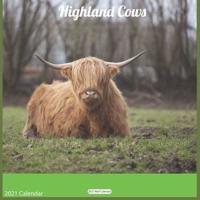 Highland Cows 2021 Calendar