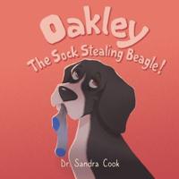 Oakley the Sock Stealing Beagle!