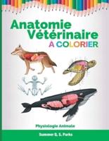 Anatomie Vétérinaire à Colorier: Physiologie Animale