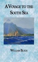 A Voyage to the South Sea