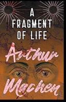 A Fragment of Life Annotated