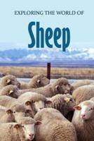 Exploring the World of Sheep