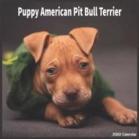 American Pit Bull Puppy 2022 Calendar: Official American Pit Bull Terrier Calendar 2022, 16 Months