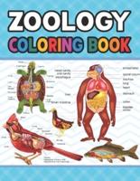 Zoology Coloring Book: Learn The Zoology & Enhance Your Practice. Simple Animal Body Parts For Children. Dog Cat Horse Frog Bird Anatomy Coloring book. Vet tech coloring books. Handbook of Zoology Students & Teachers.