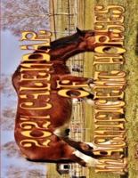 2021 Calendar Of Magnificent Horses