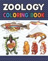 Zoology Coloring Book: Learn The Zoology & Enhance Your Practice. Younger kids for learn anatomy dog, cat, horse, turtle, frog, bird, fish. Veterinary Anatomy & Physiology Coloring book. Dog Cat Horse Bird Anatomy Coloring book.