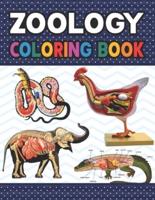 Zoology Coloring Book: Collection of Simple Illustrations of Zoology. Animal Anatomy and Veterinary Physiology Coloring Book. Dog Cat Horse Frog Bird Anatomy Coloring book. Vet tech coloring books. Handbook of Zoology Students & Teachers.