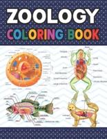 Zoology Coloring Book: Collection of Simple Illustrations of Zoology. The New Surprising Magnificent Learning Structure For Veterinary Anatomy Students. Dog Cat Horse Frog Anatomy Coloring book. Vet tech & Zoology Coloring Books.