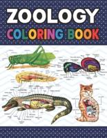 Zoology Coloring Book: Collection of Simple Illustrations of Zoology. Younger kids for learn anatomy dog, cat, horse, turtle, frog, bird, fish. Veterinary Anatomy & Physiology Coloring book. Dog Cat Horse Bird Anatomy Coloring book.