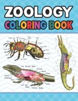 Zoology Coloring Book: Learn The Zoology & Enhance Your Practice. The New Surprising Magnificent Learning Structure For Zoology Students. Dog Cat Horse Frog Anatomy Coloring book. Vet tech & Zoology Coloring Books.
