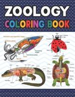 Zoology Coloring Book: Collection of Simple Illustrations of Zoology. Handbook of Veterinary Anesthesia. Dog Cat Horse Frog Bird Anatomy Coloring book. Vet tech coloring books. Handbook of Zoology Students & Teachers.