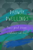 Drowsy Dwellings: Poems penned between wakefulness and sleep