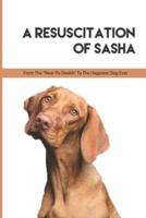 A Resuscitation Of Sasha - From The -Near-to-Dealth- To The Happiest Dog Ever
