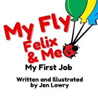 My Fly Felix & Me : My First Job
