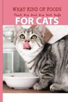 What Kind Of Foods That Are And Are Not Safe For Cats