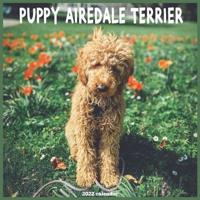 Airedale Terrier Puppy 2022 Calendar