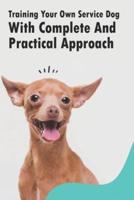 Training Your Own Service Dog With Complete And Practical Approach