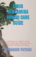Ficus Benjamina Bonsai Care Guide