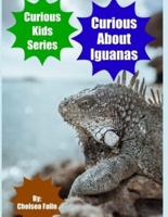 Curious About Iguanas