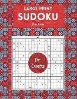 Large Print Sudoku for Experts