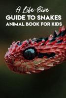 A Life-Size Guide To Snakes Animal Book For Kids