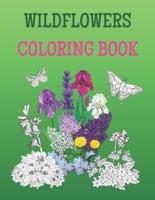Wildflowers Coloring Book: Spring Scenes of Meadows, Tropical Flowers, Butterflies And Birds, Zen Garden Pictures For Adult Beginners