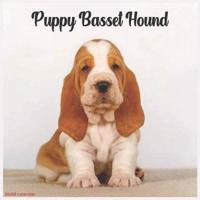 Basset Hound Puppy 2022 Calendar