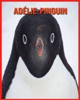 Adélie-Pinguin