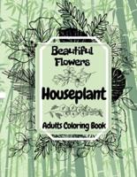 Beautiful Flowers Houseplant