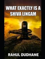 What Exactly Is A Shiva Lingam