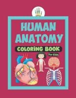 Human Anatomy Coloring Book For Kids