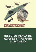 Insectos Plaga De Agaves Y Tips Para Su Manejo