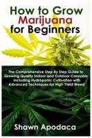 How to Grow Marijuana for Beginners