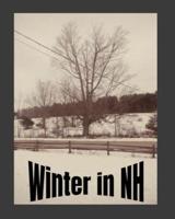 Winter In New Hampshire